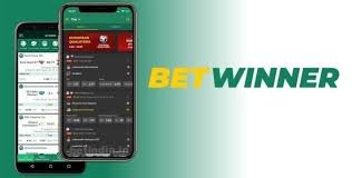 Explore the BetWinner Betting Platform A Comprehensive Guide